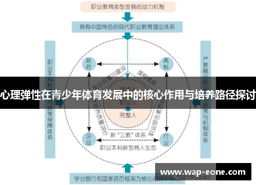 心理弹性在青少年体育发展中的核心作用与培养路径探讨
