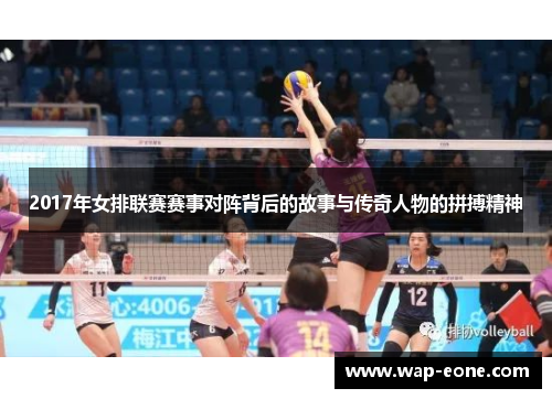 2017年女排联赛赛事对阵背后的故事与传奇人物的拼搏精神